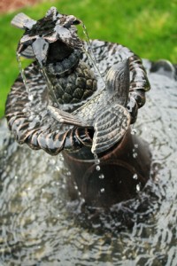 Get tips for creating a DIY water feature to enhance your landscape