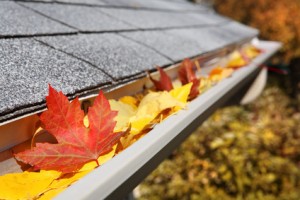 Learn how to clean and maintain your gutters to protect your home from misdirected water