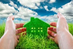 Take simple steps to green your home for a healthier environment